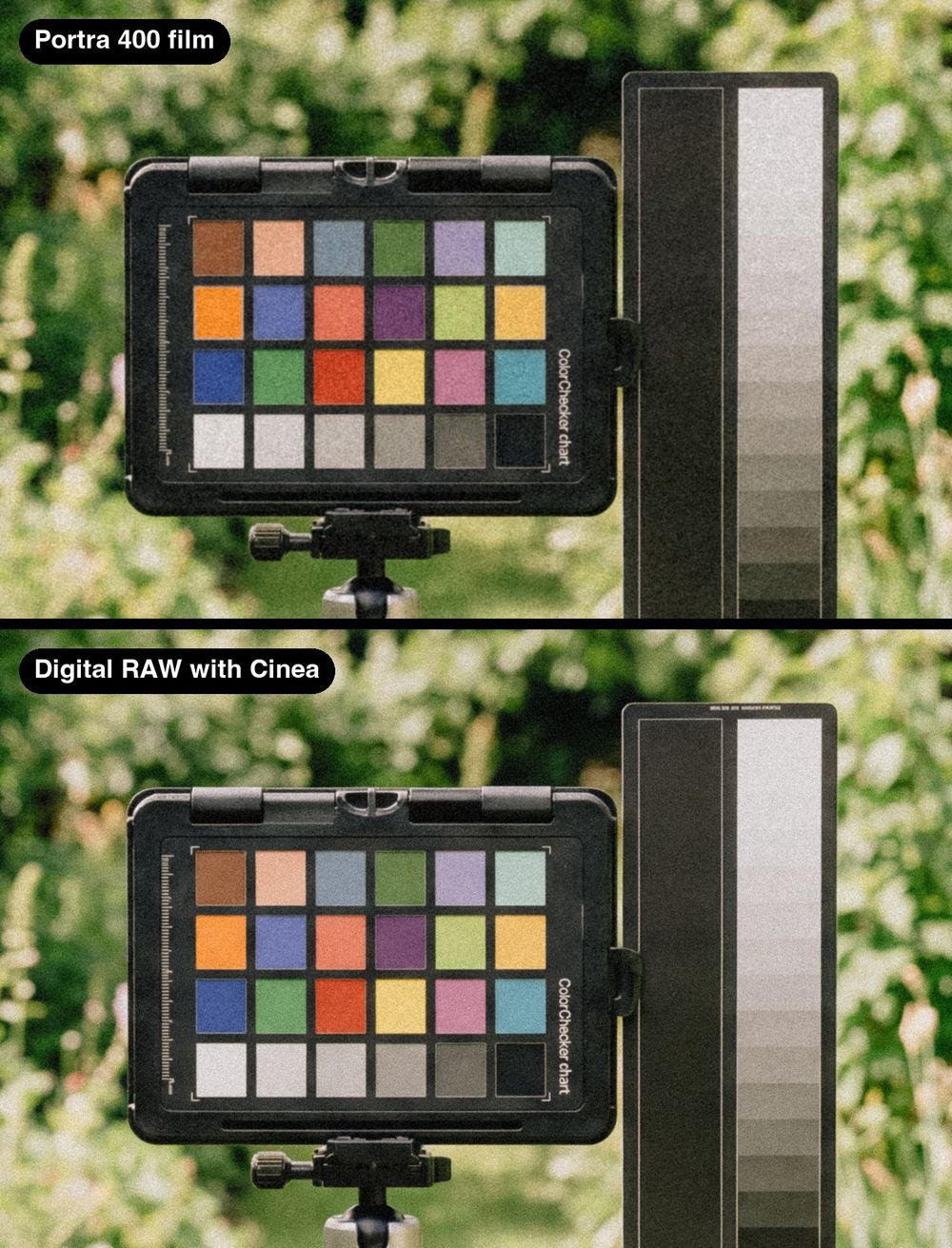 The same colour chart on Portra 400 film, and below it as a digital RAW with Cinea Portra 400