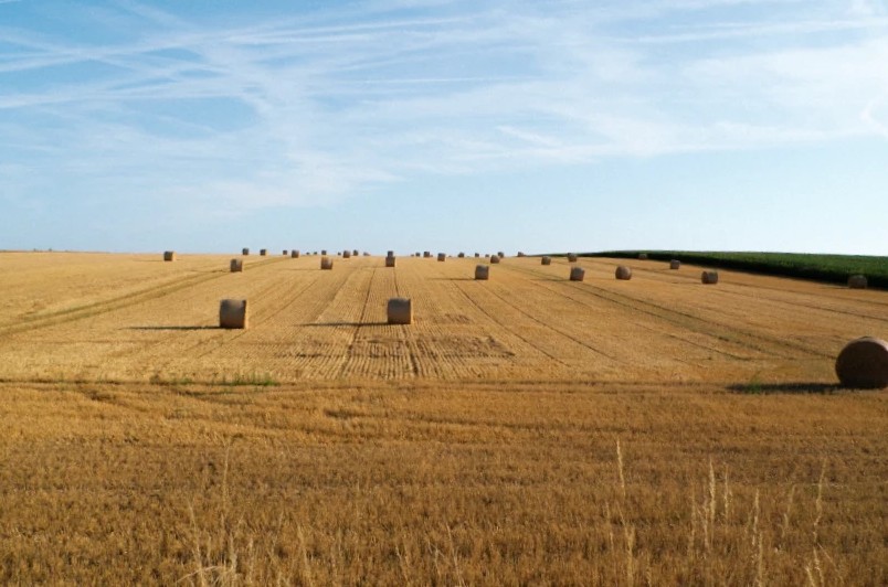 A harvested field with hay bales under a summer sky, digital RAW with Cinea Ultramax 400