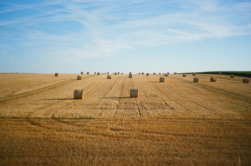 A harvested field with hay bales under a summer sky, on Ultramax 400 film